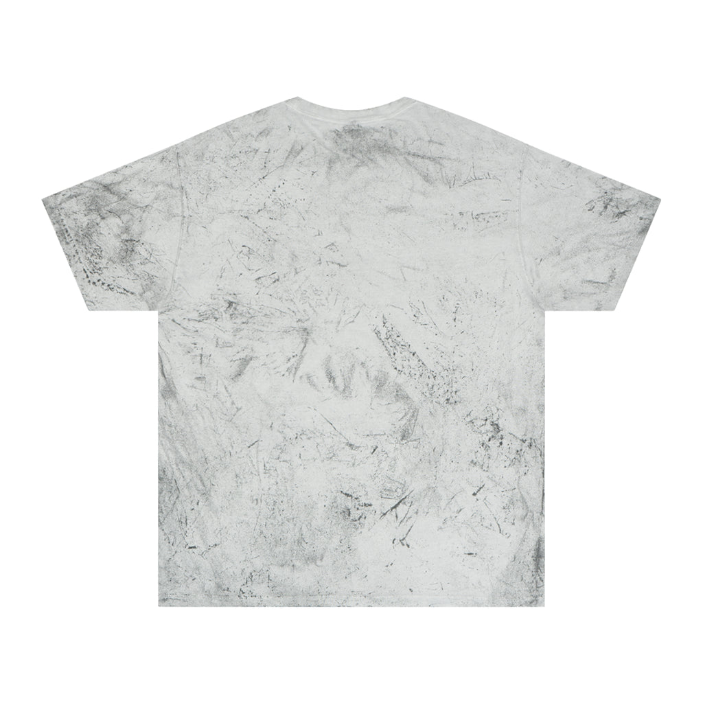 Baptized in a KOA Pool VBS T-Shirt