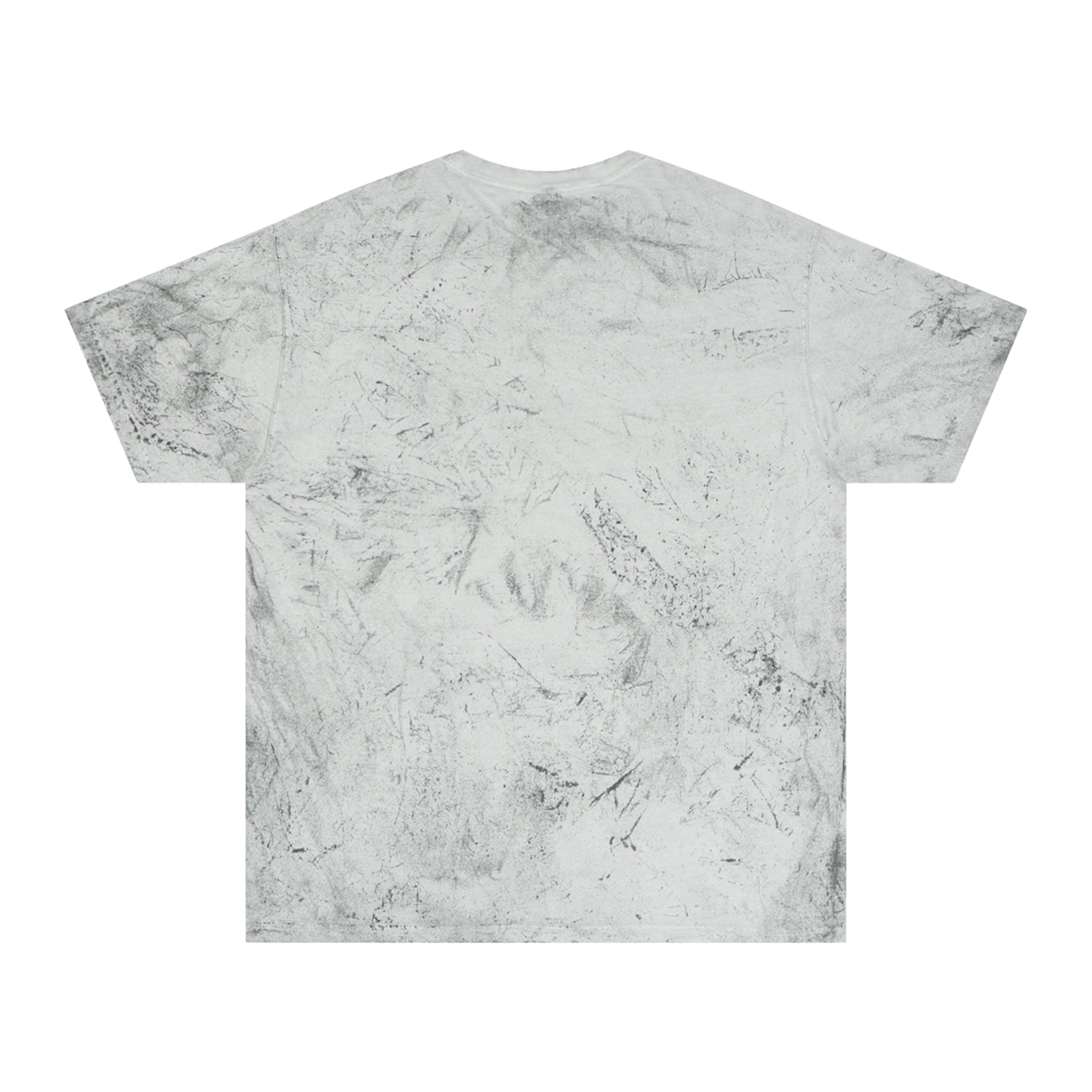 Baptized in a KOA Pool VBS T-Shirt