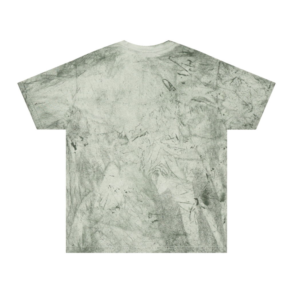 Baptized in a KOA Pool VBS T-Shirt