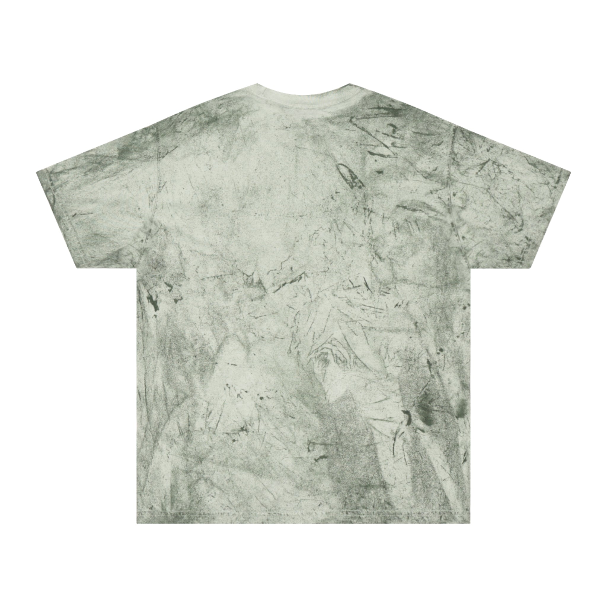 Baptized in a KOA Pool VBS T-Shirt