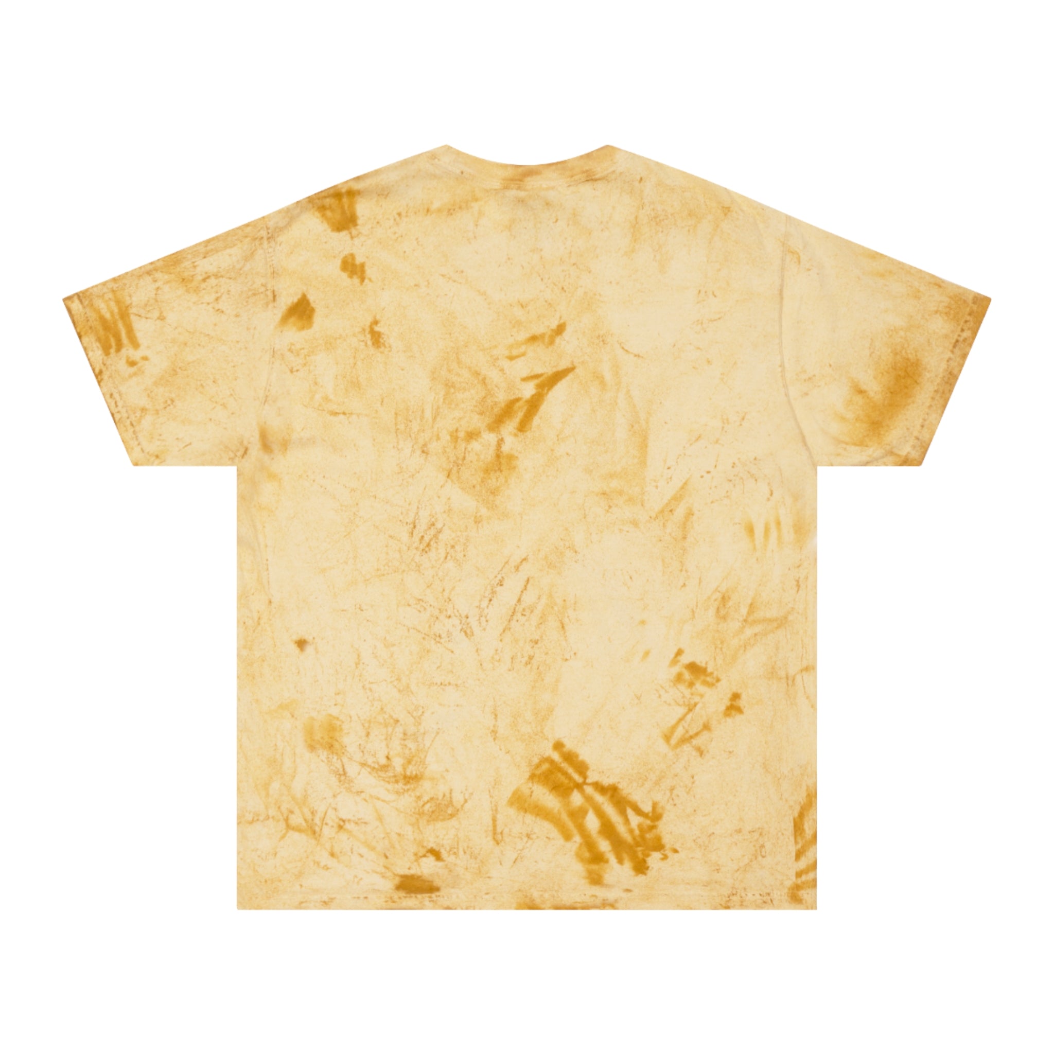 Baptized in a KOA Pool VBS T-Shirt